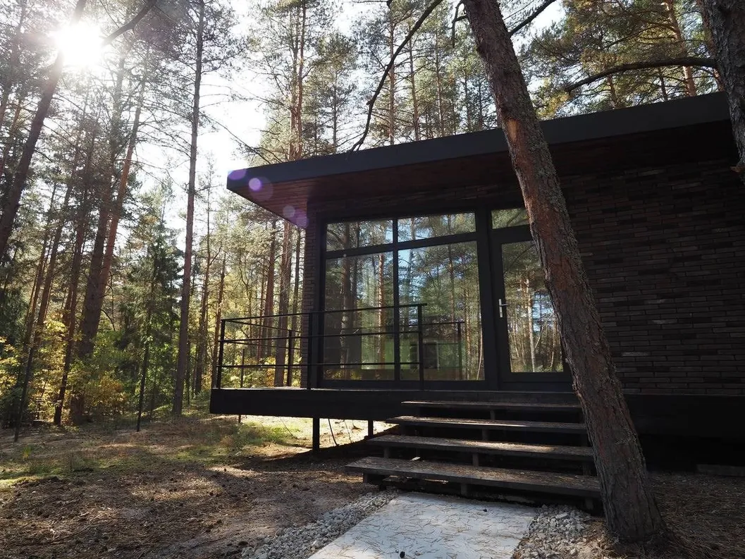 Вино и Сосны - Фото 14