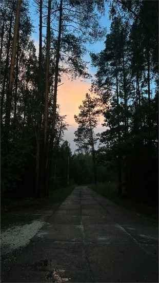 Вино и Сосны - Фото 23