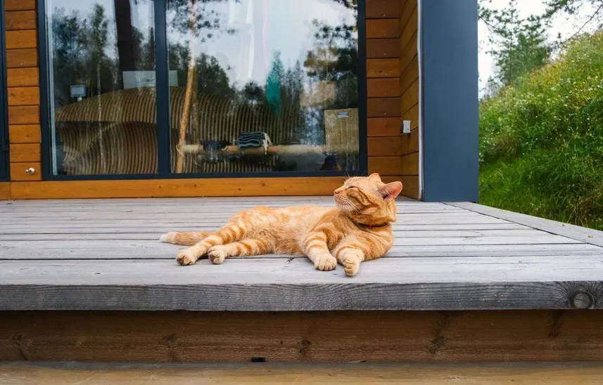 Lucky Glamping - Фото 11