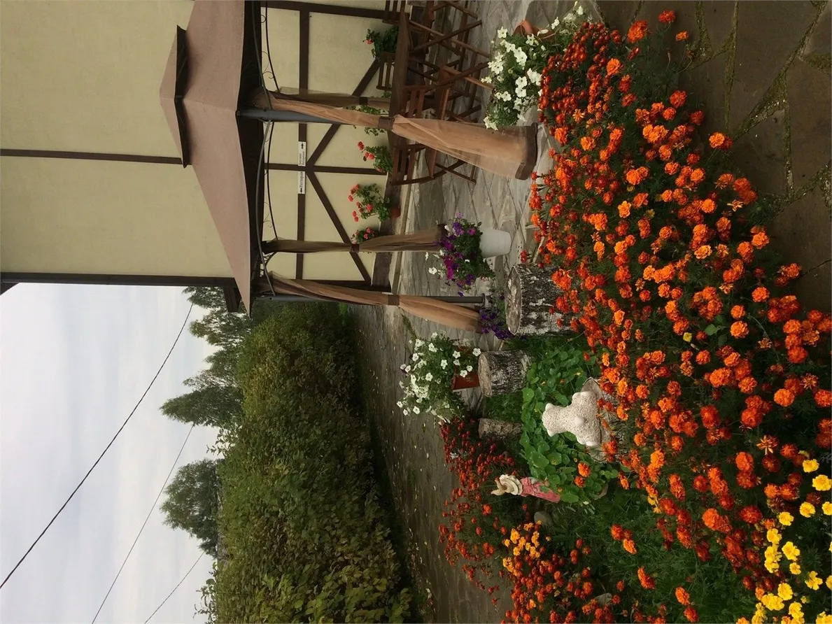 Шале (Руза, Московская область) - Фото 7