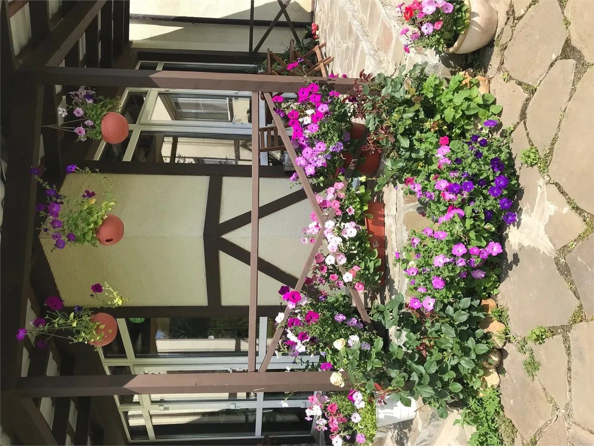 Шале (Руза, Московская область) - Фото 1