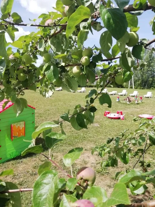 Шале (Руза, Московская область) - Фото 4