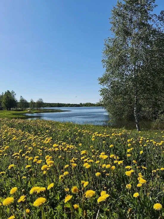 Ферма моей мамы - Фото 7