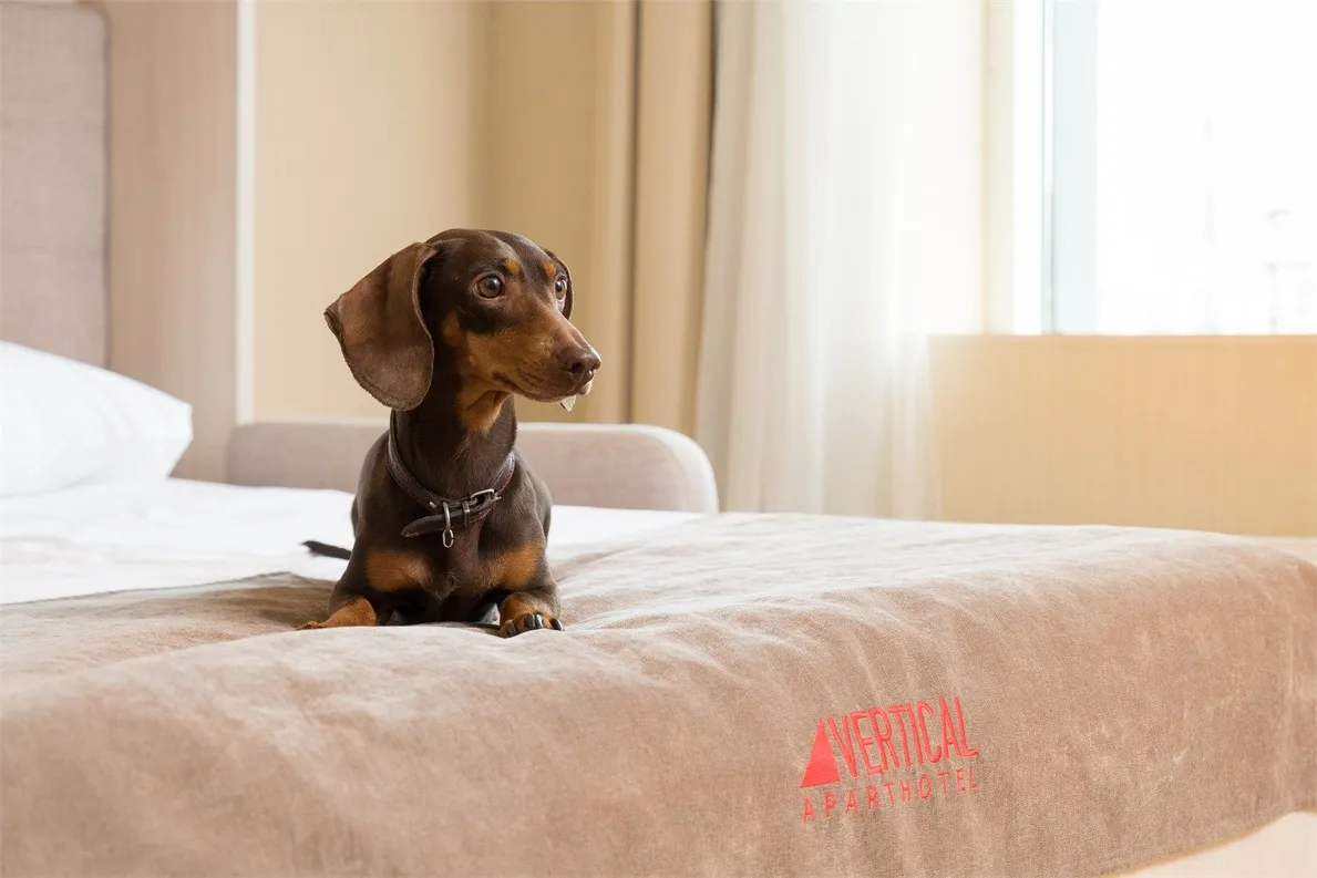 Апарт-отель Vertical Фрунзенская - Фото 7