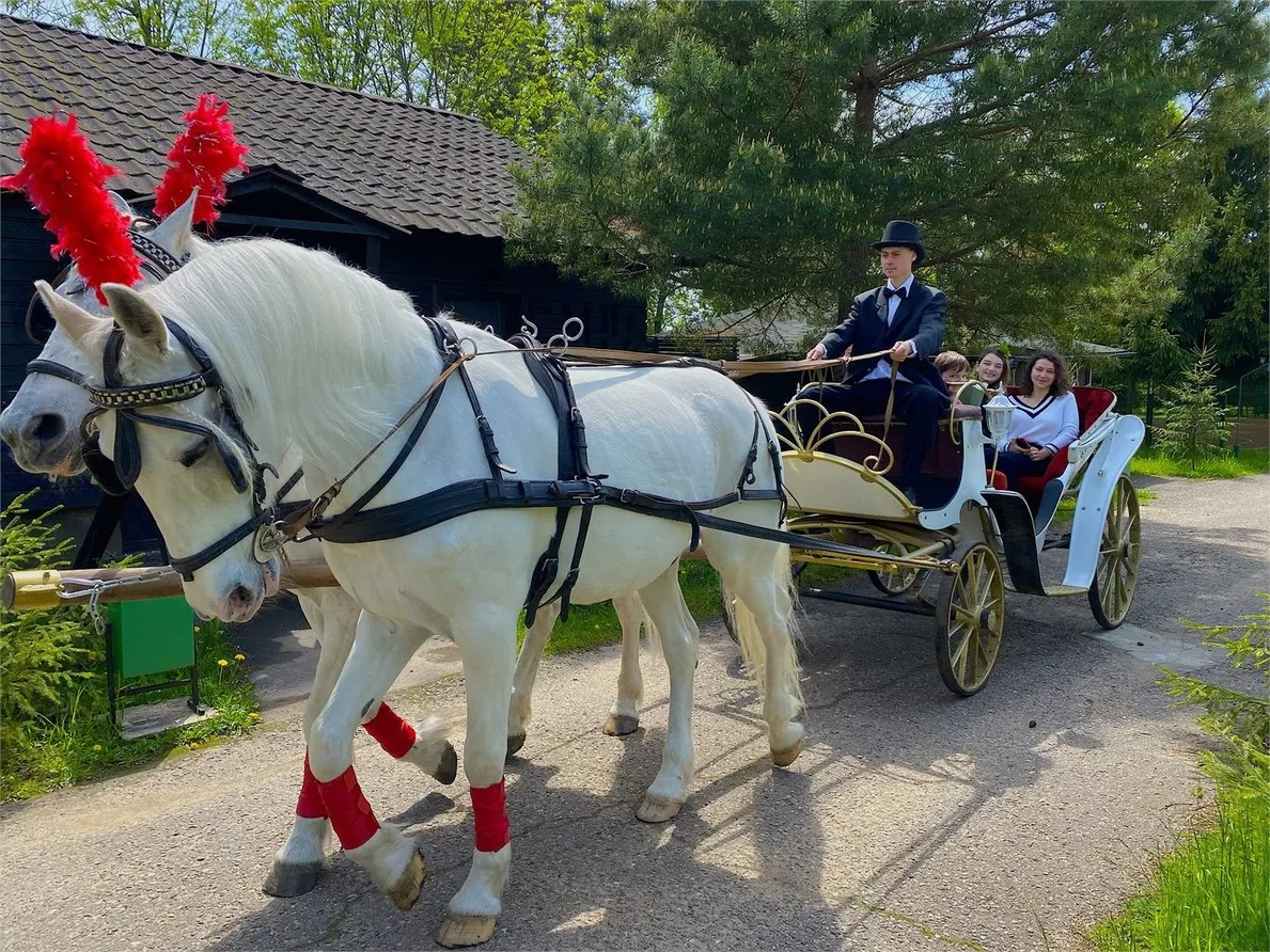 Парк-отель «VE art resort» - Фото 54