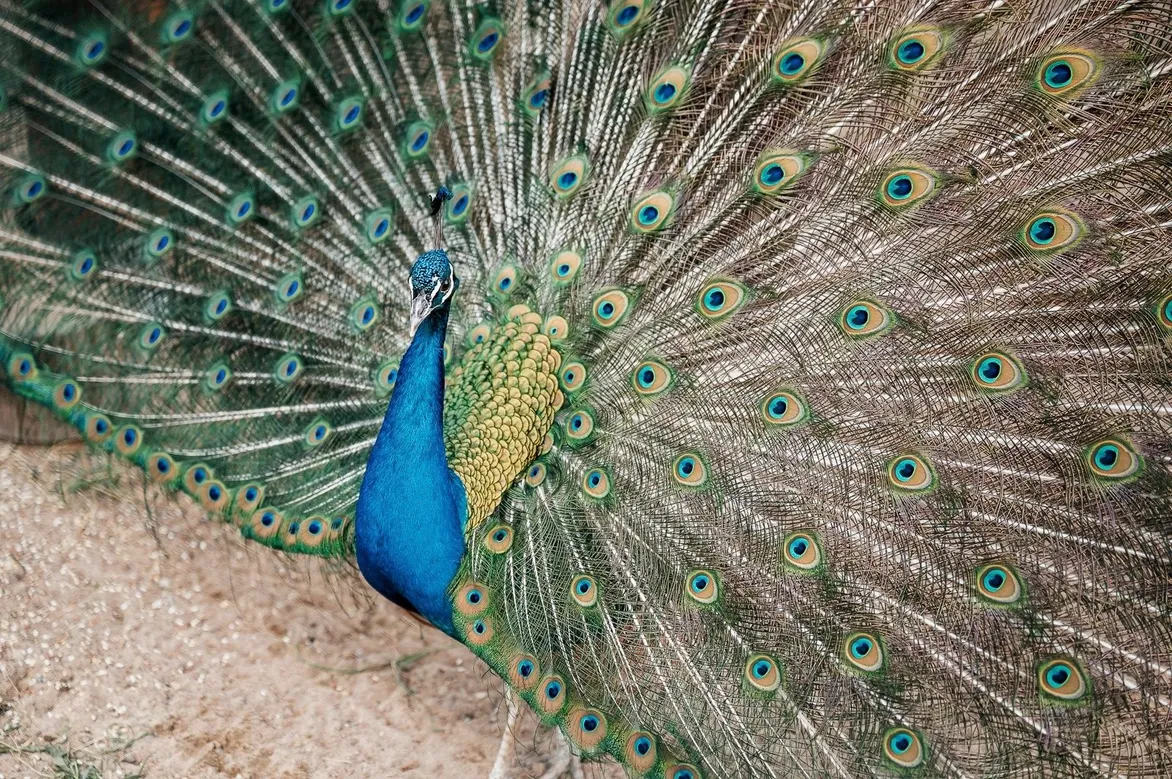 Семь озер - Фото 20