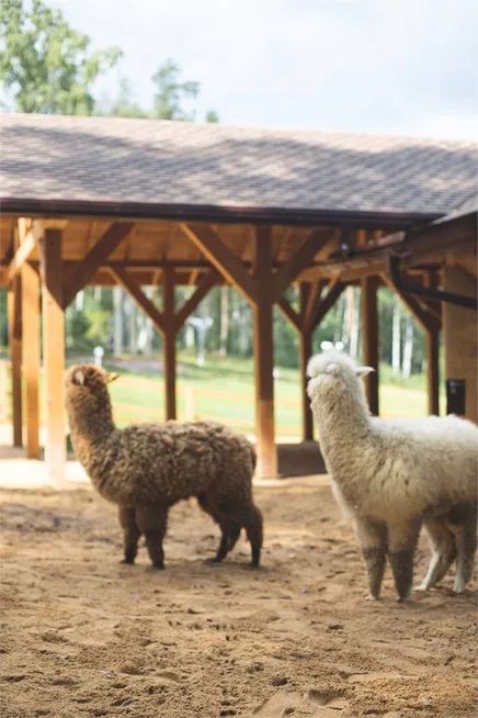 Семь озер - Фото 13