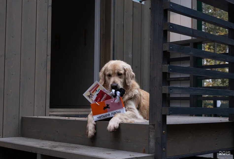 ВерескОтель - Фото 200