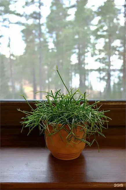 ВерескОтель - Фото 38