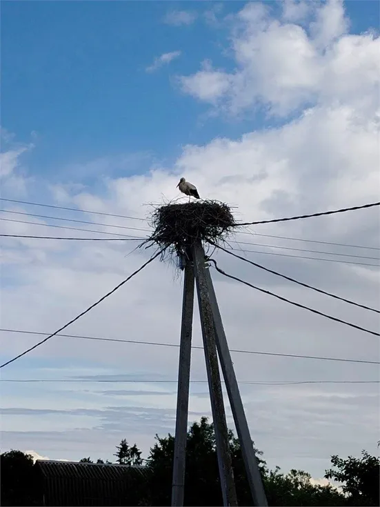 Глэмпинг парк КосмоСфера - Фото 13