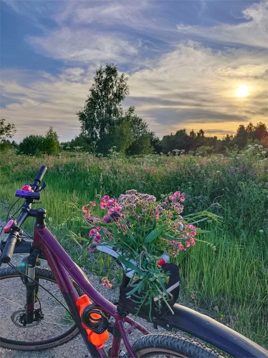 Глэмпинг парк КосмоСфера - Фото 5