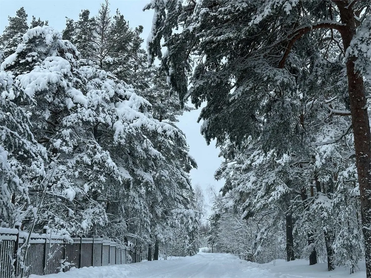 ЭкоPort на Отрадном - Фото 10