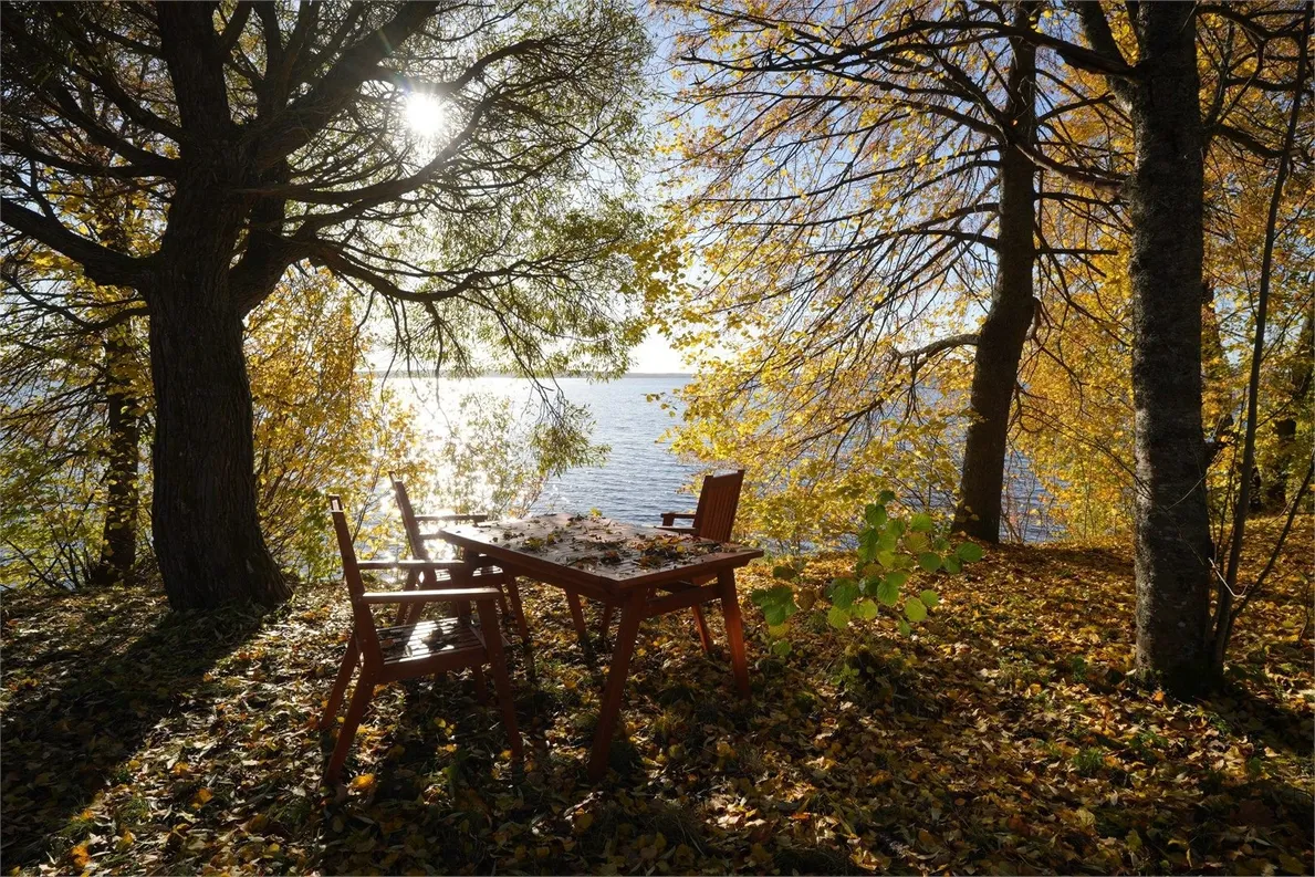 ЭкоPort на Отрадном - Фото 6