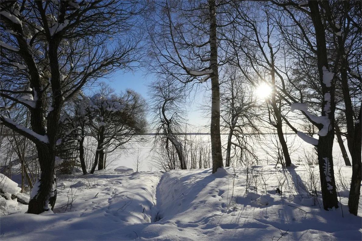 ЭкоPort на Отрадном - Фото 12