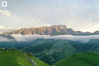 Guest House 1950 - Фото 23