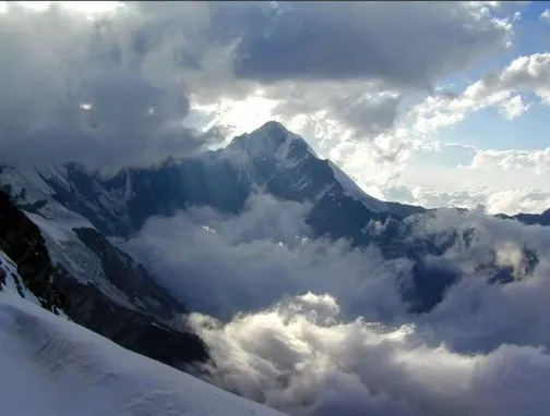 Guest House 1950 - Фото 24