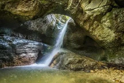 Guest House 1950 - Фото 27