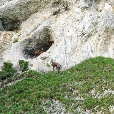 Guest House 1950 - Фото 25