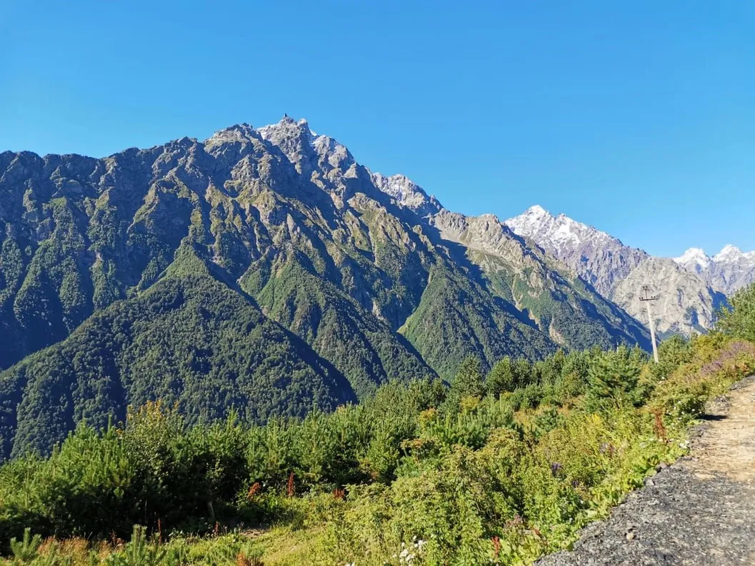 Guest House 1950 - Фото 20