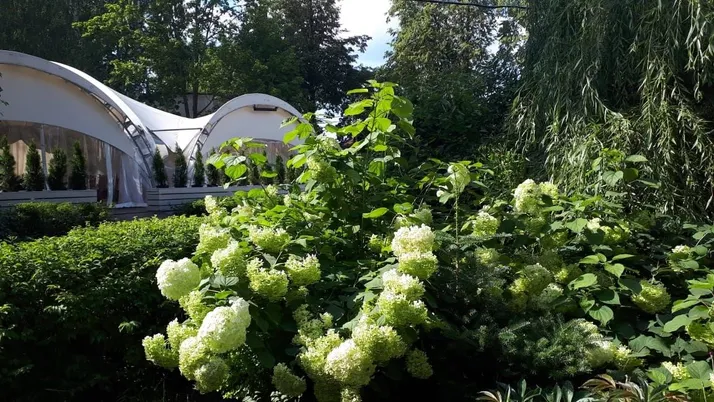 Арт-отель «Пушкино» - Фото 8