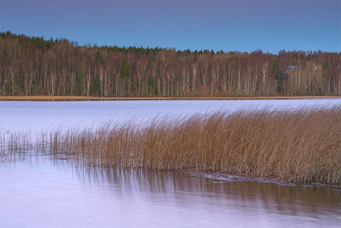 WhiteResort Поляны / Карелия - Фото 3