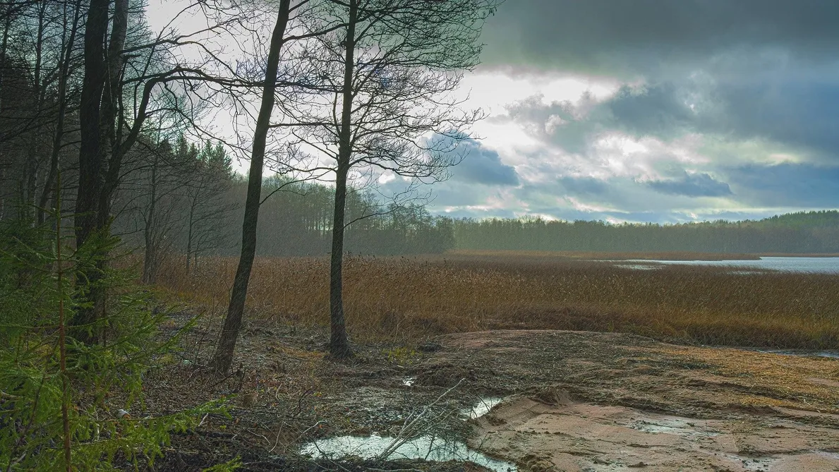 WhiteResort Поляны / Карелия - Фото 6