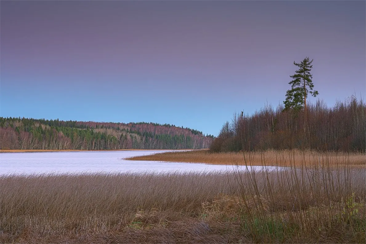 WhiteResort Поляны / Карелия - Фото 2