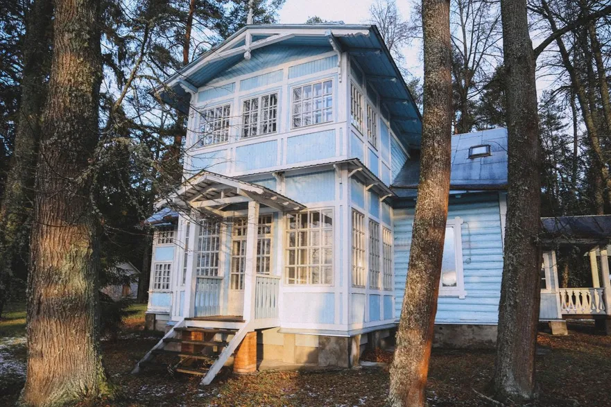 Vyritsa village - Фото 4