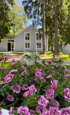 Vyritsa village - Фото 6