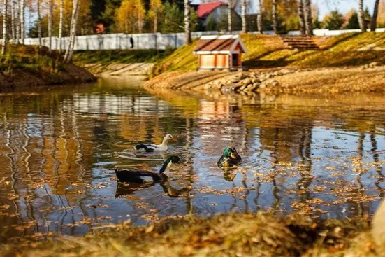 Агропарк Ясенево - Фото 59