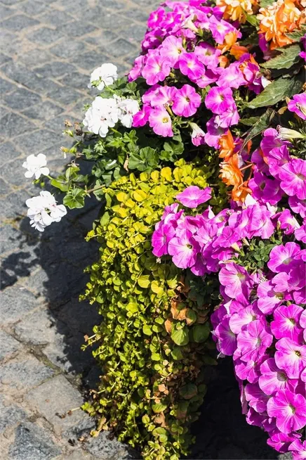 Отель «Трауберг» - Фото 36