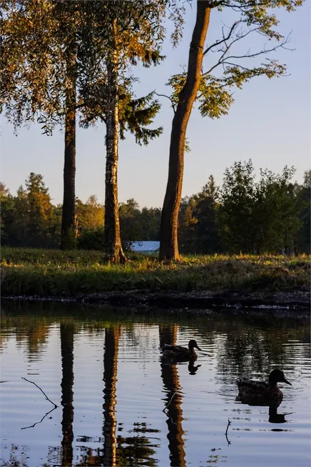 Голден Отель - Фото 15
