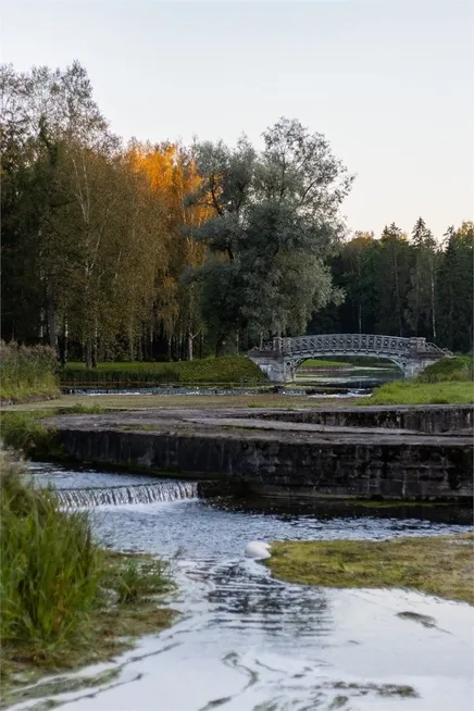 Голден Отель - Фото 16