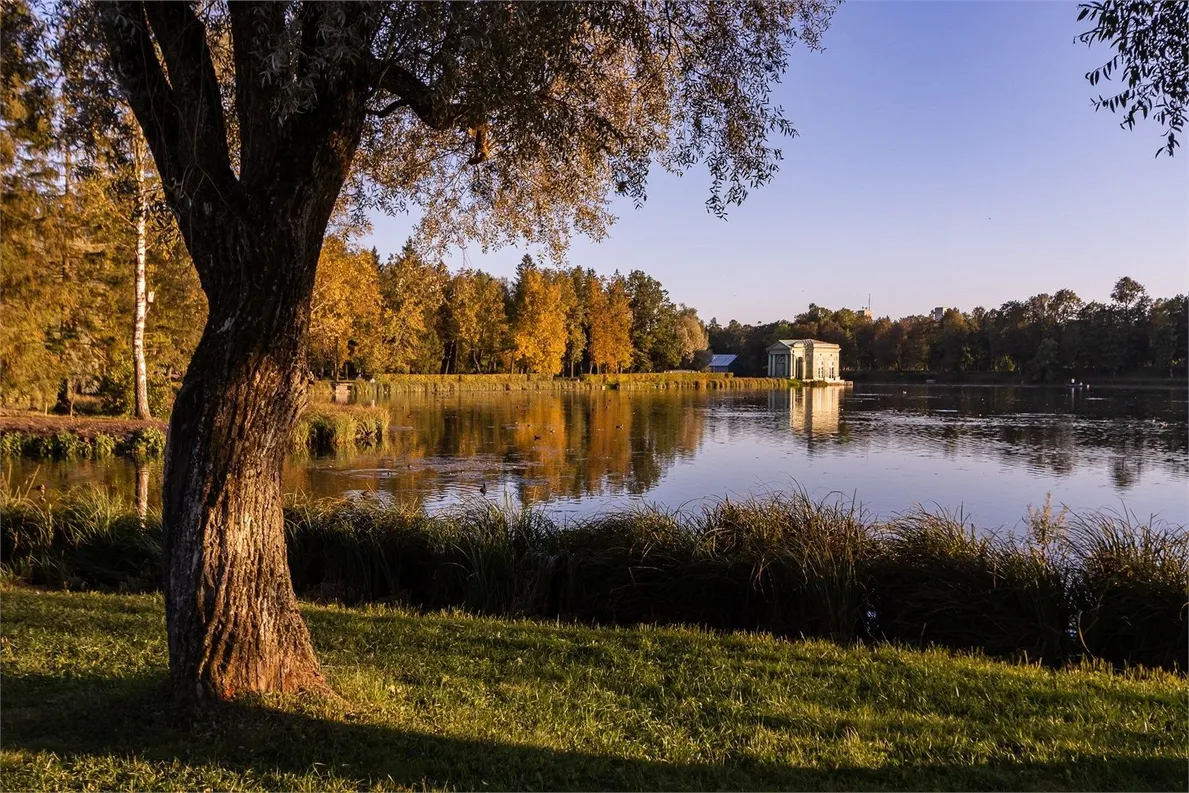 Голден Отель - Фото 14
