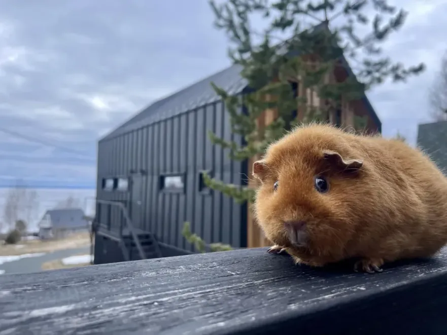 База отдыха "ALDI-Karelia" - Фото 7