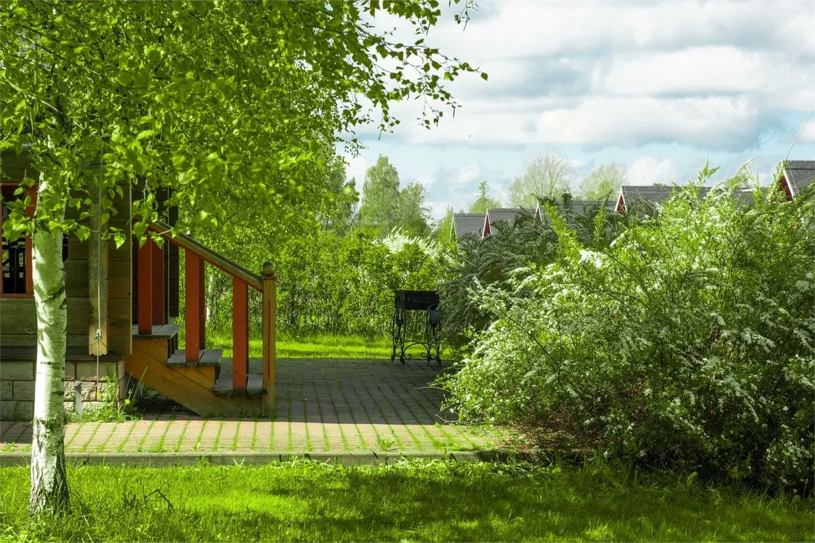 Вохотка - Фото 7